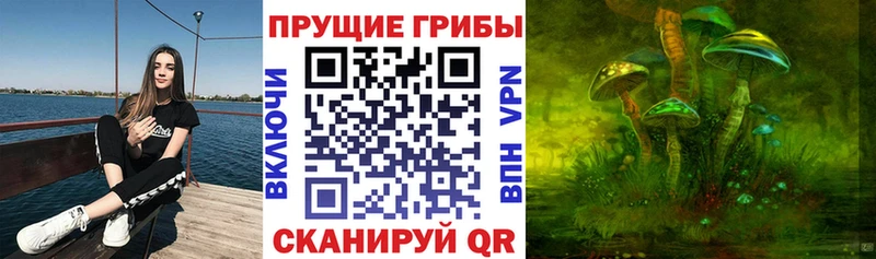Галлюциногенные грибы Psilocybine cubensis  Купить где  Петров Вал 